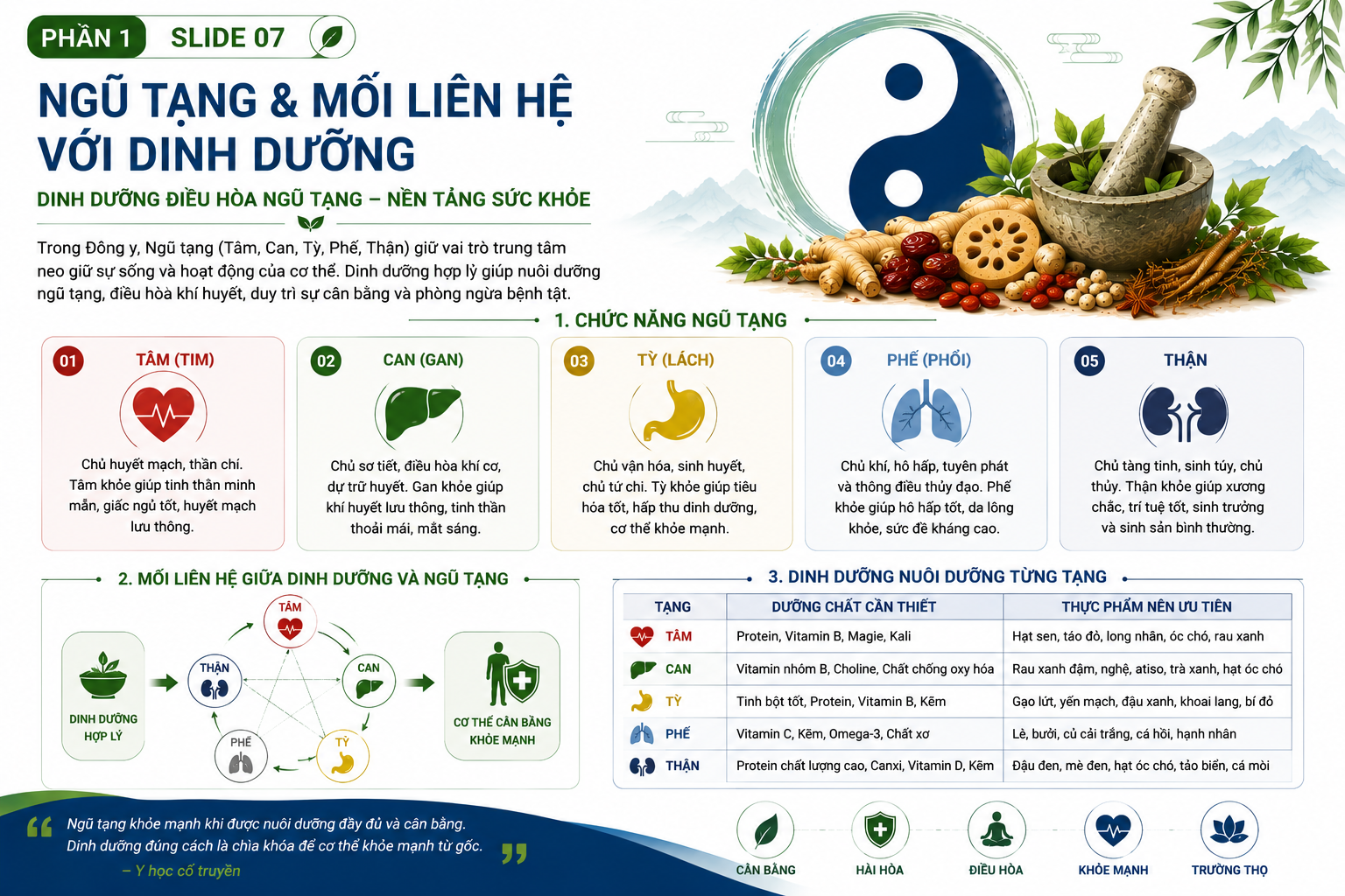 Ảnh đại diện gói 7